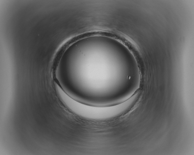 X0000111161310200907071121