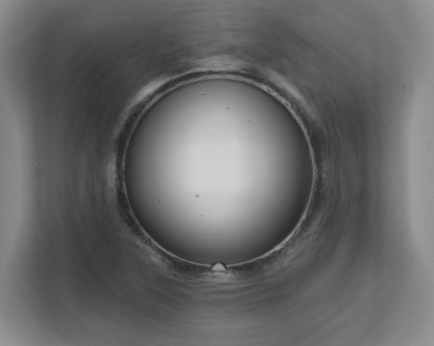 X0000111161315200907071121