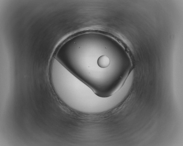 X0000111161316200907071121
