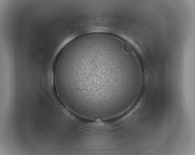 X0000111161317200907071121
