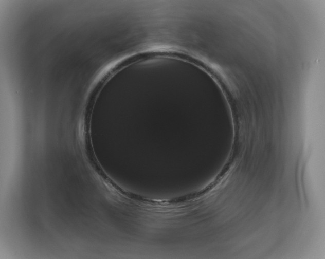 X0000111161319200907071121