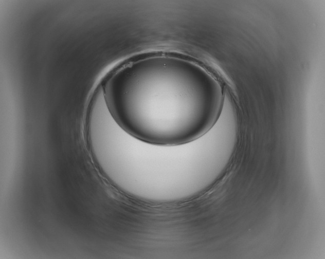 X0000111161320200907071121