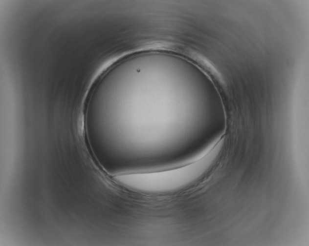 X0000111161324200907071121