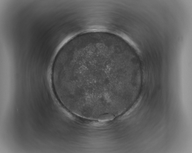 X0000111161325200907071121