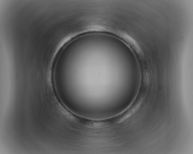 X0000111161326200907071121