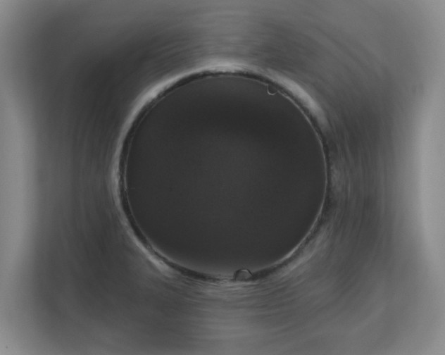 X0000111161327200907071121
