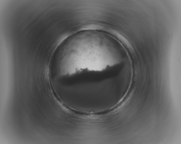 X0000111161329200907071121