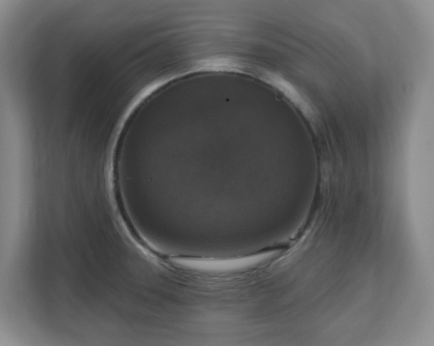 X0000111161331200907071121