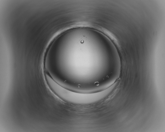 X0000111161334200907071121