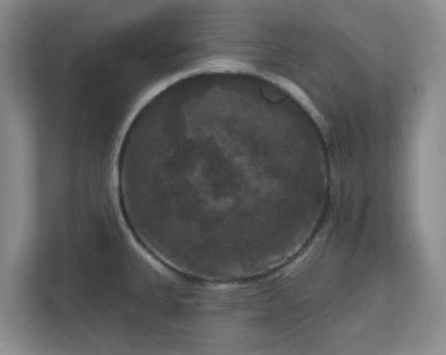 X0000111161335200907071121