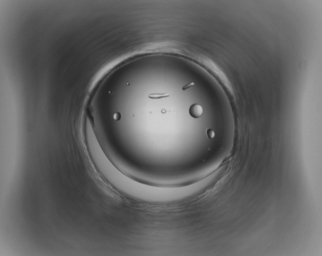 X0000111161336200907071121