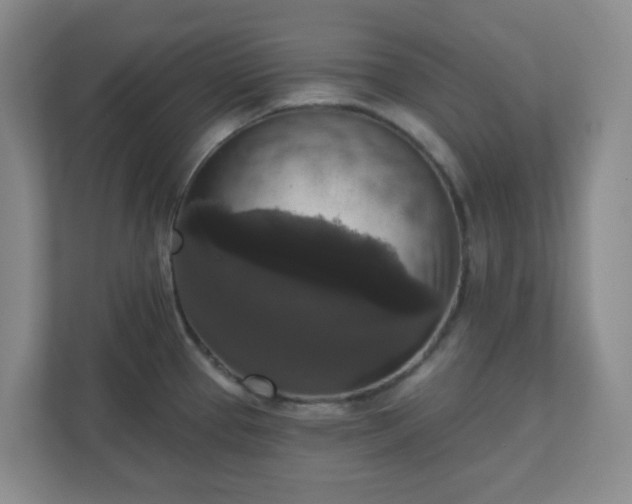 X0000111161337200907071121