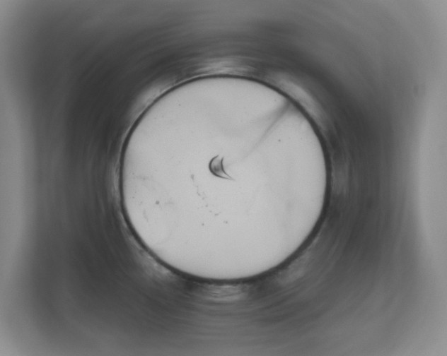 X0000111161338200907071121