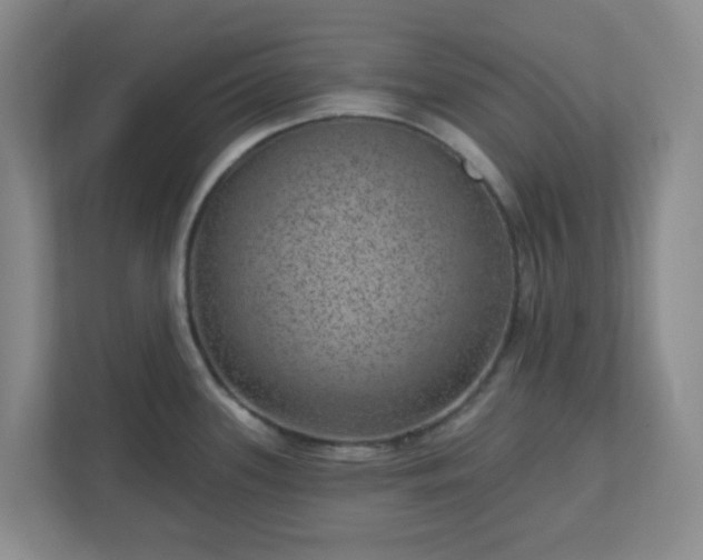 X0000111161339200907071121