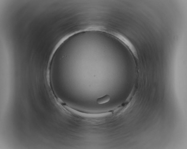 X0000111161340200907071121