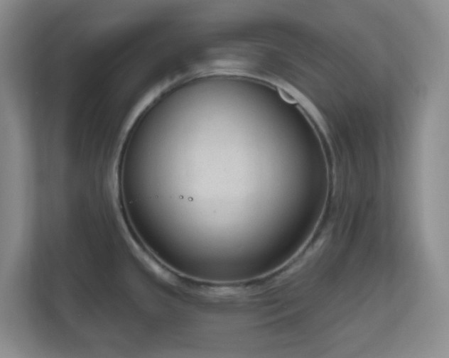 X0000111161341200907071121