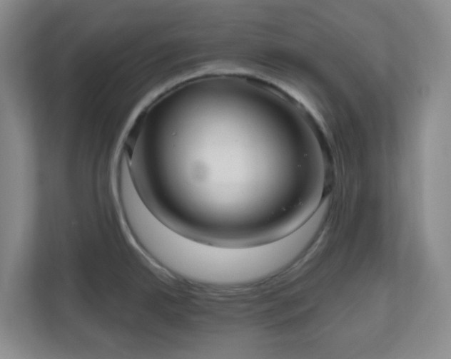 X0000111161342200907071121