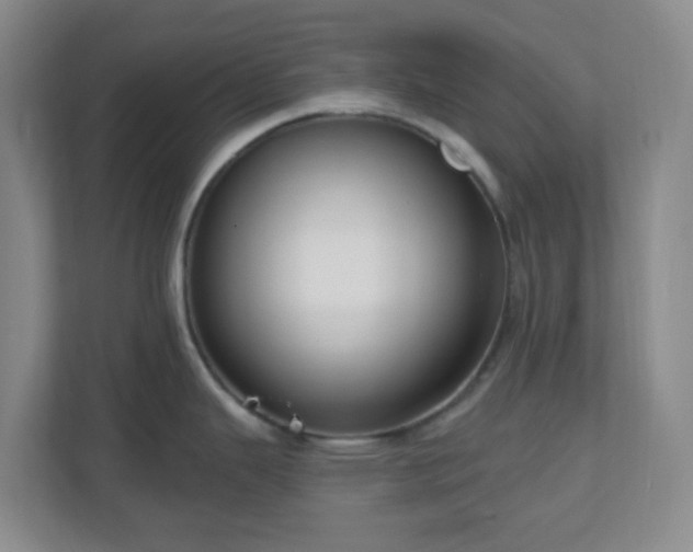 X0000111161343200907071121