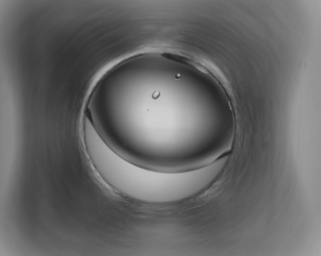 X0000111161344200907071121