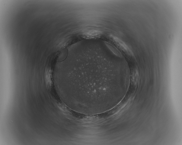 X0000111161346200907071121