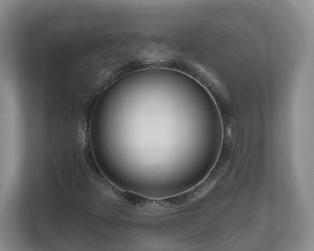 X0000111161348200907071121