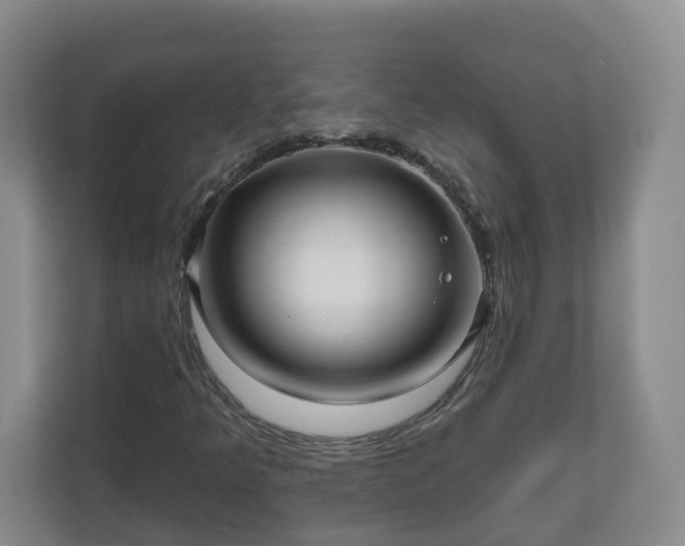 X0000111161349200907071121