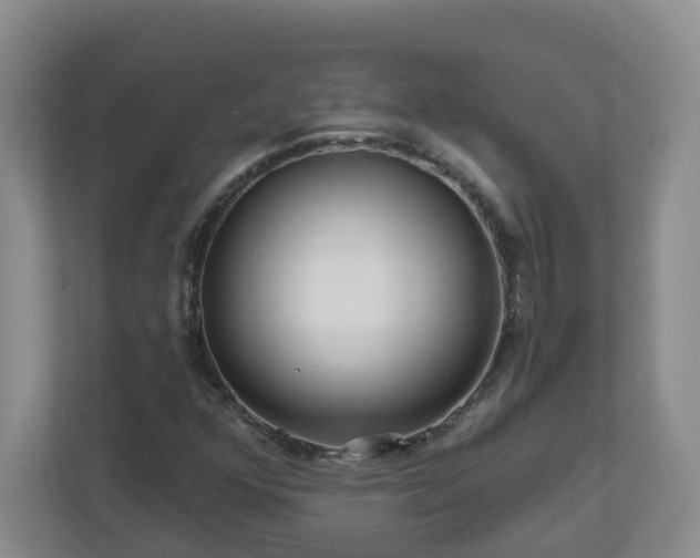 X0000111161352200907071121