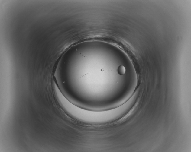 X0000111161353200907071121