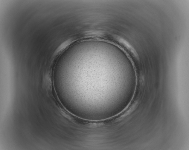 X0000111161354200907071121