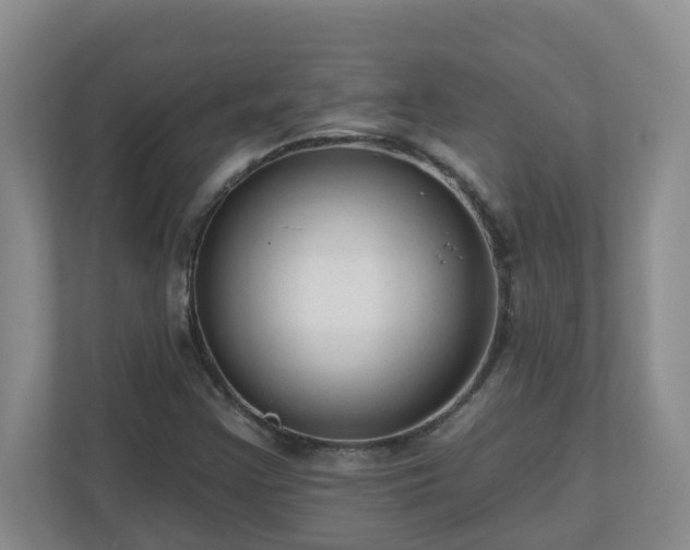X0000111161355200907071120