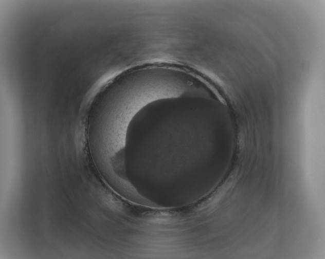 X0000111161359200907071120