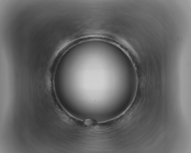 X0000111161360200907071120