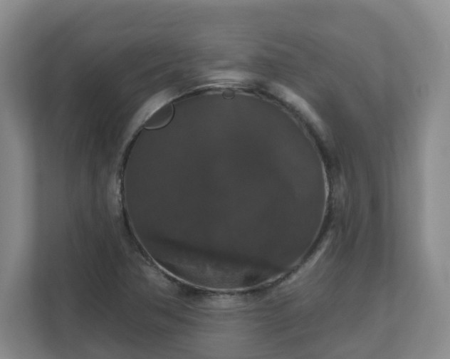 X0000111161362200907071120