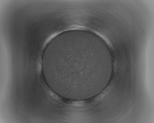 X0000111161363200907071120