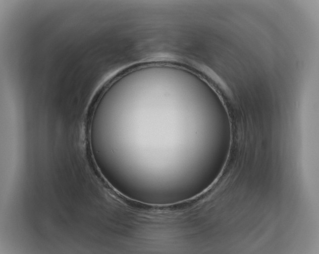 X0000111161364200907071120