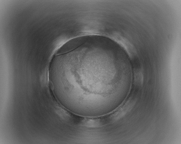 X0000111161365200907071120