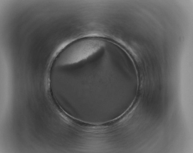 X0000111161367200907071120