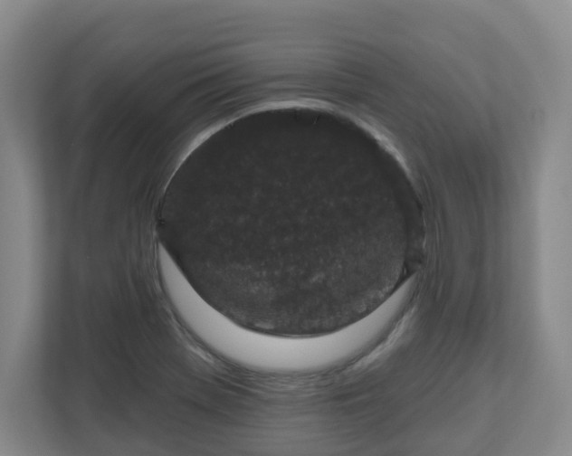 X0000111161369200907071120