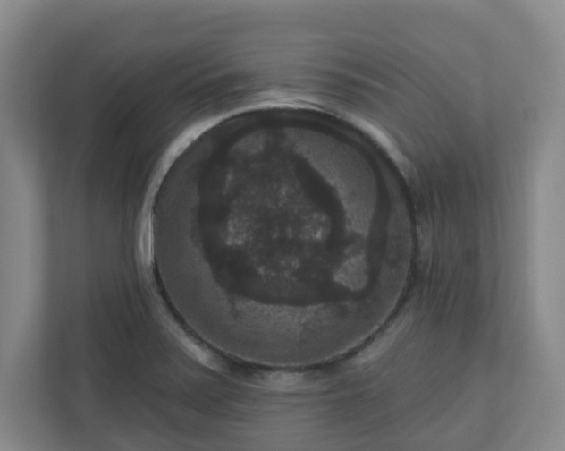 X0000111161371200907071120