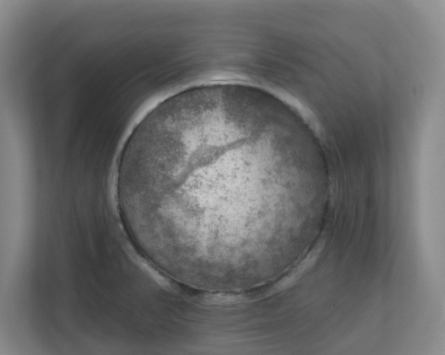 X0000111161374200907071120