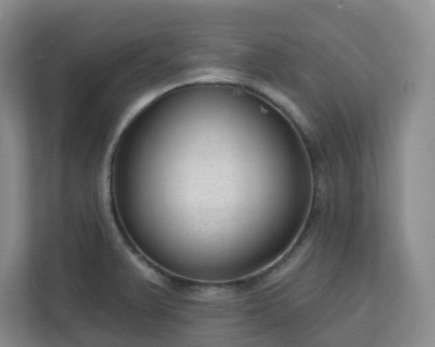 X0000111161375200907071120
