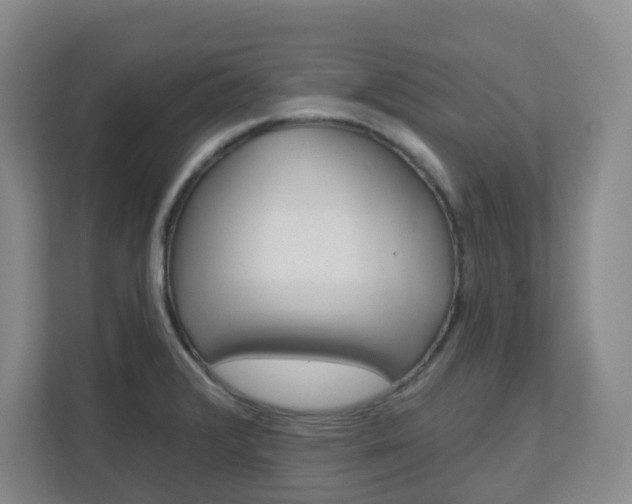 X0000111161376200907071120