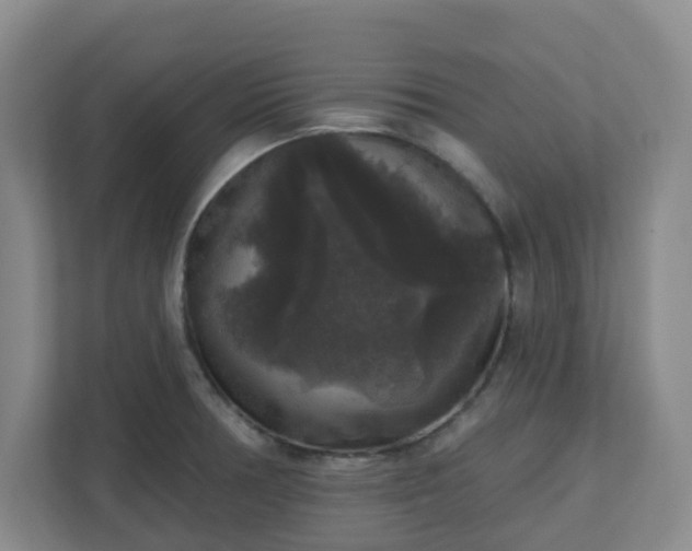 X0000111161378200907071120