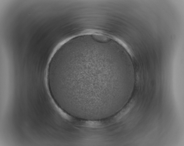 X0000111161379200907071120
