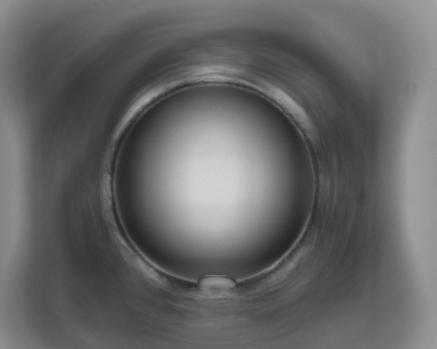 X0000111161384200907071120