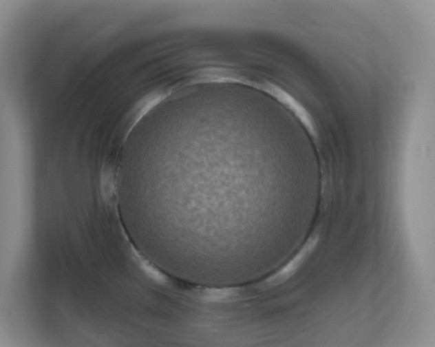 X0000111161385200907071120