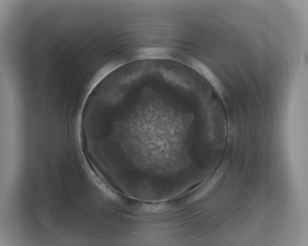 X0000111161386200907071120