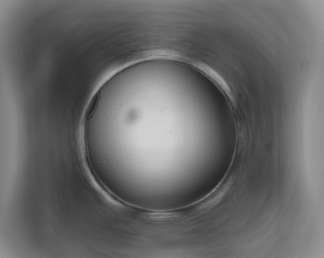 X0000111161391200907071120