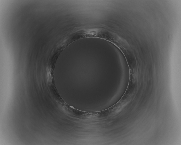X0000111161394200907071119