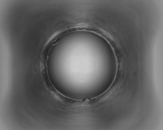 X0000111161400200907071119